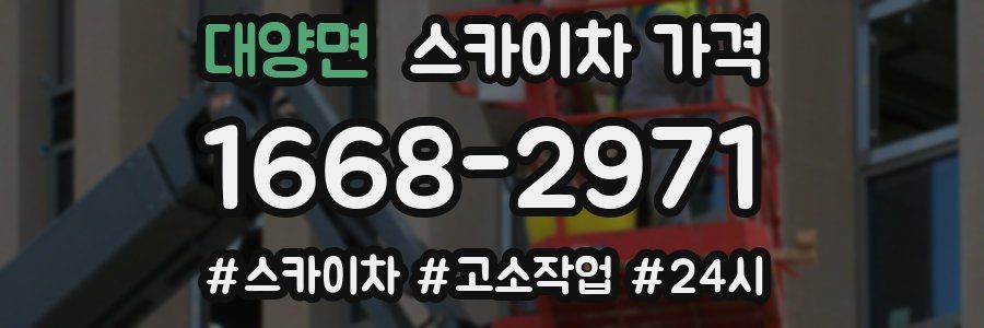 대양면 스카이차 가격