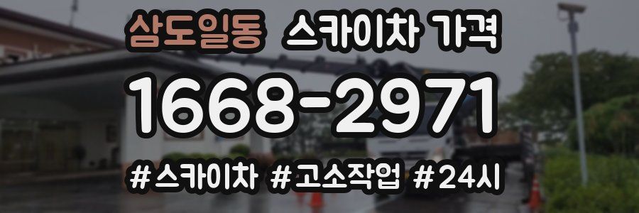 삼도일동 스카이차 가격