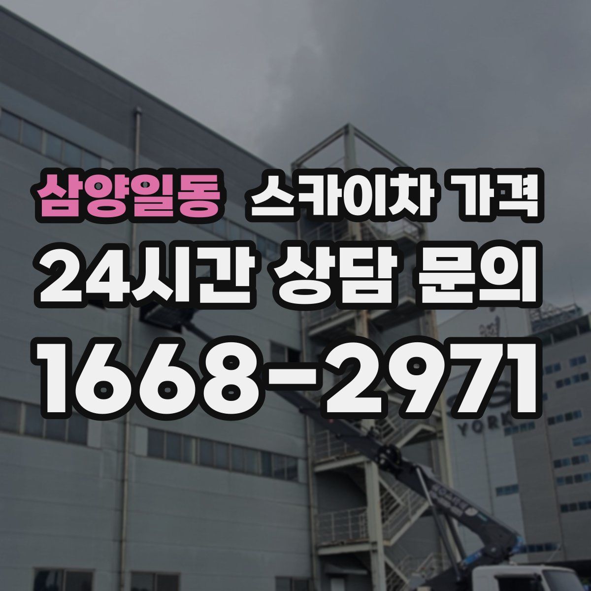 삼양일동 스카이차 가격