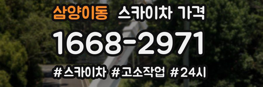 삼양이동 스카이차 가격