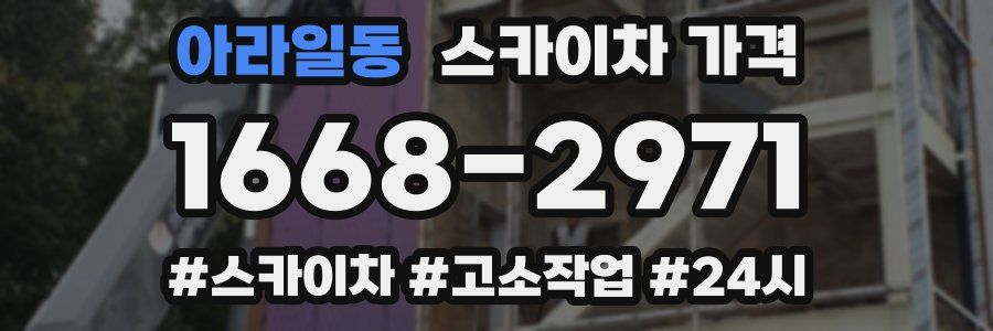 아라일동 스카이차 가격