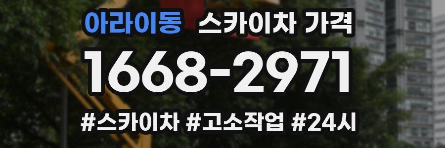 아라이동 스카이차 가격