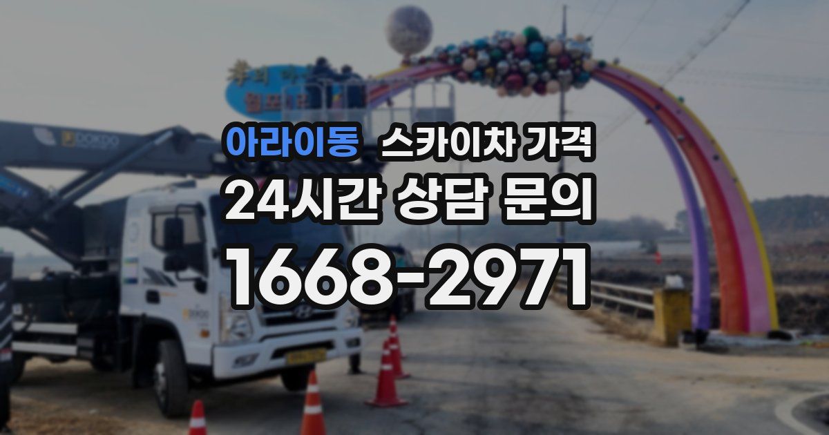 아라이동 스카이차 가격