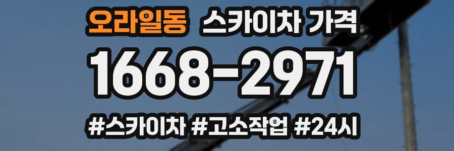 오라일동 스카이차 가격