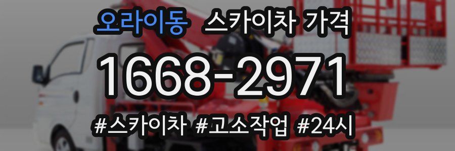 오라이동 스카이차 가격