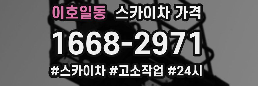 이호일동 스카이차 가격