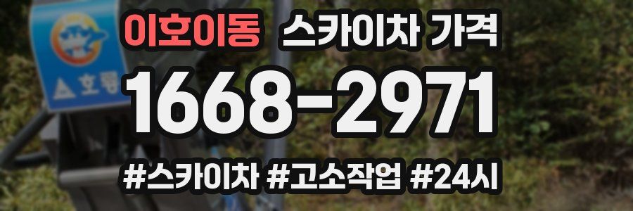 이호이동 스카이차 가격