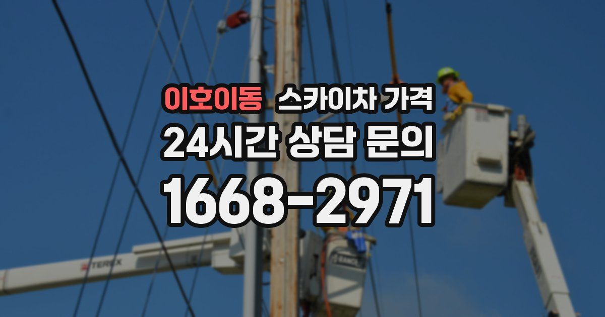 이호이동 스카이차 가격