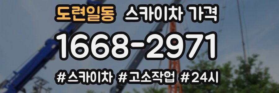 도련일동 스카이차 가격