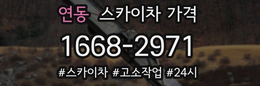 연동 스카이차 가격