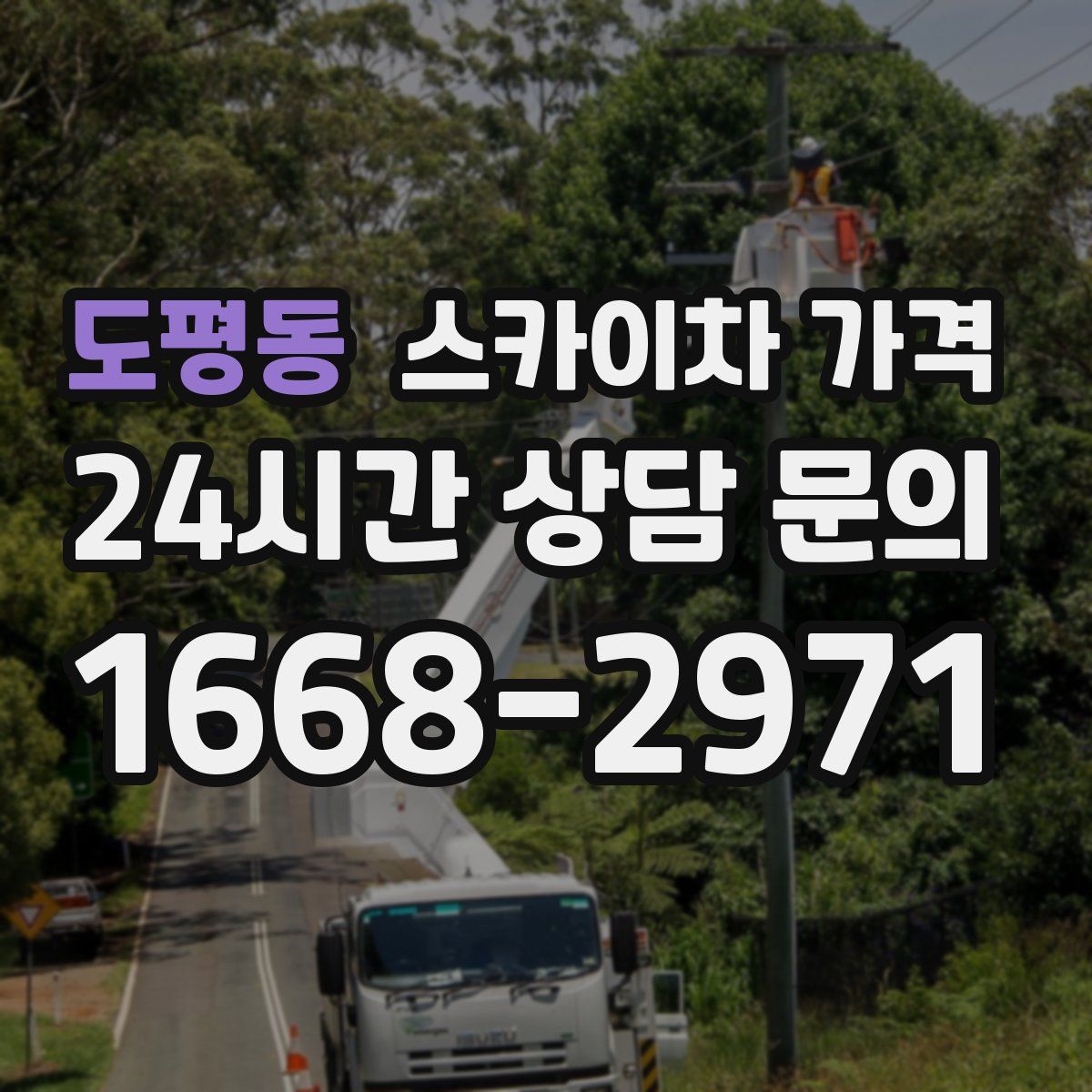 도평동 스카이차 가격