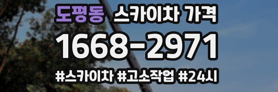 도평동 스카이차 가격