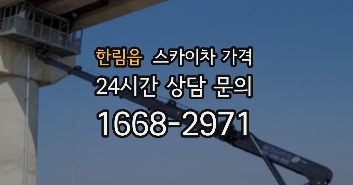 한림읍 스카이차 가격