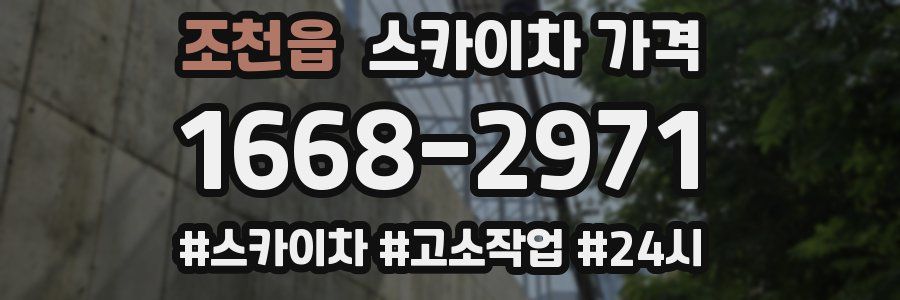 조천읍 스카이차 가격