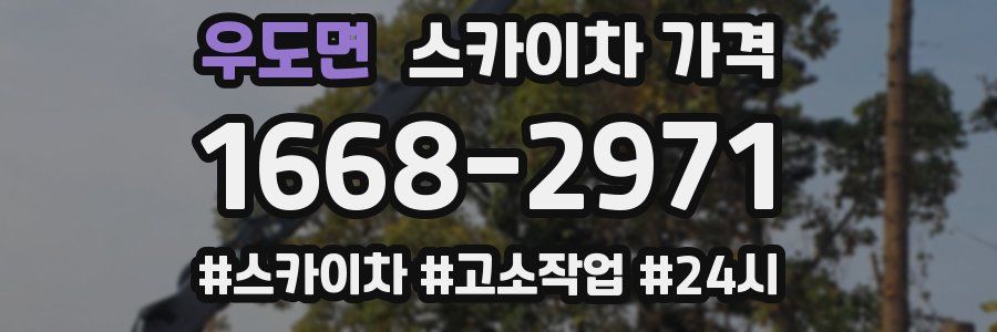 우도면 스카이차 가격