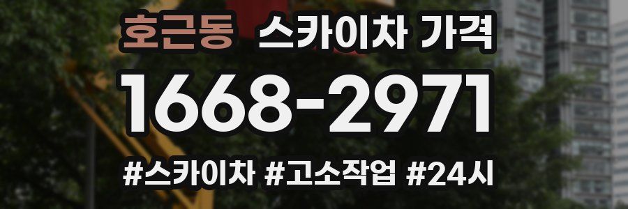 호근동 스카이차 가격