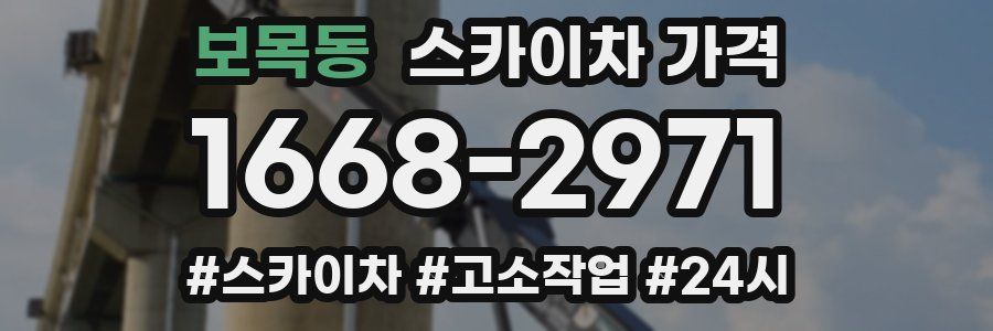 보목동 스카이차 가격
