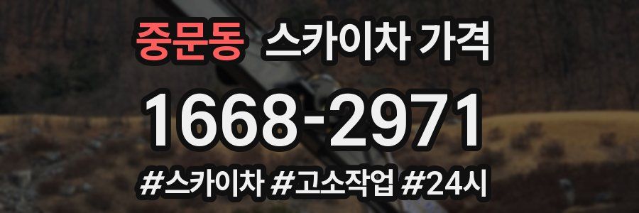 중문동 스카이차 가격