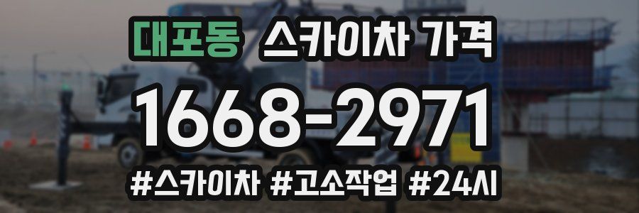 대포동 스카이차 가격