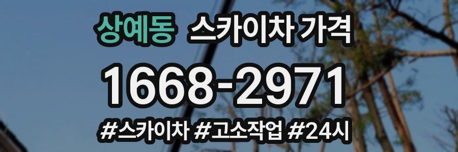 상예동 스카이차 가격