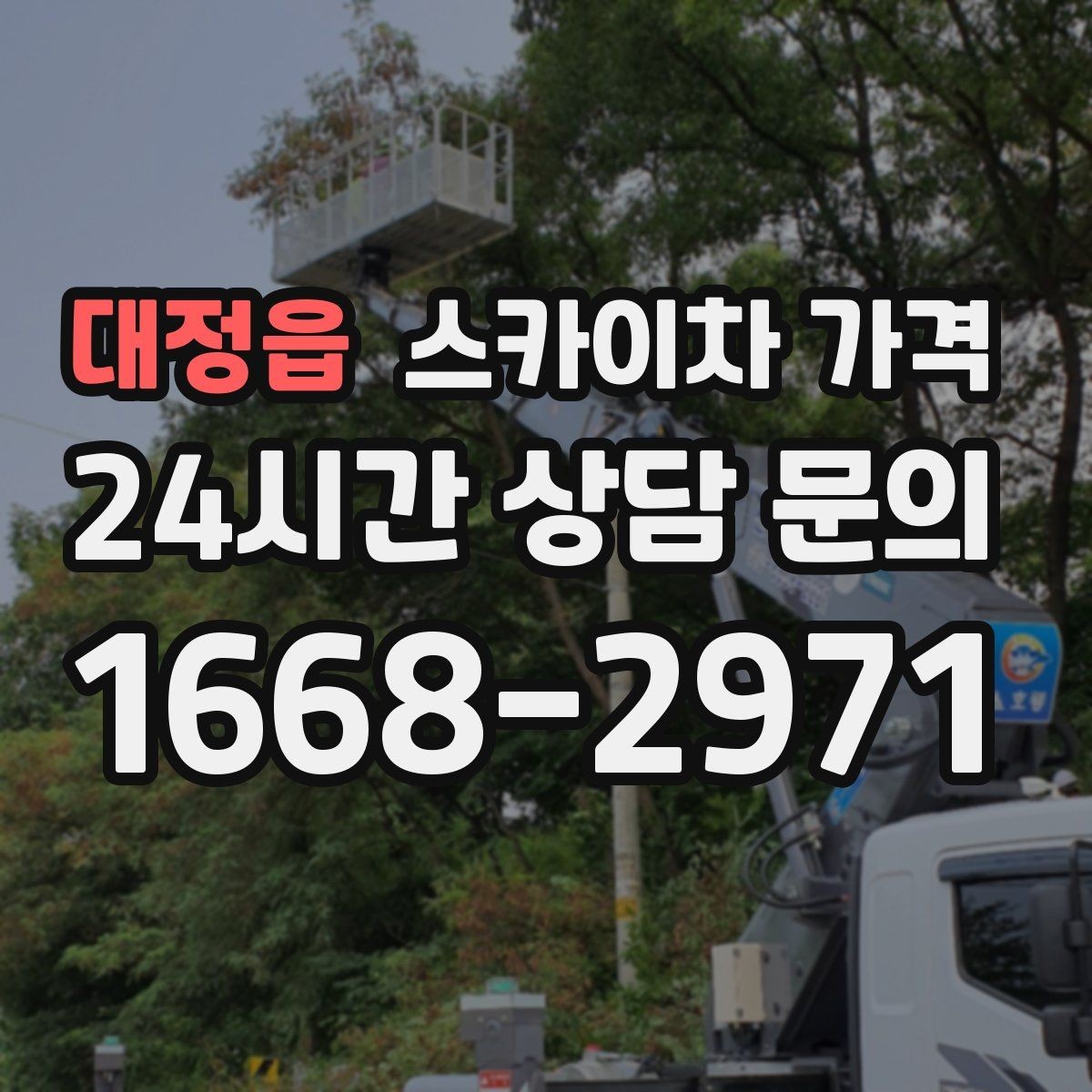 대정읍 스카이차 가격 높이보다 접근성이 더 중요한 현장 정리