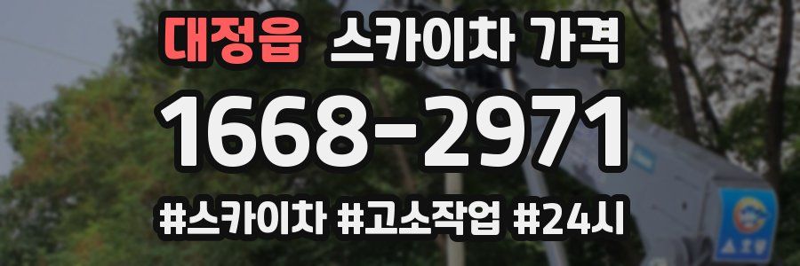 대정읍 스카이차 가격