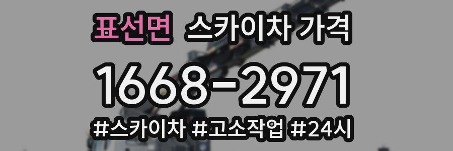 표선면 스카이차 가격
