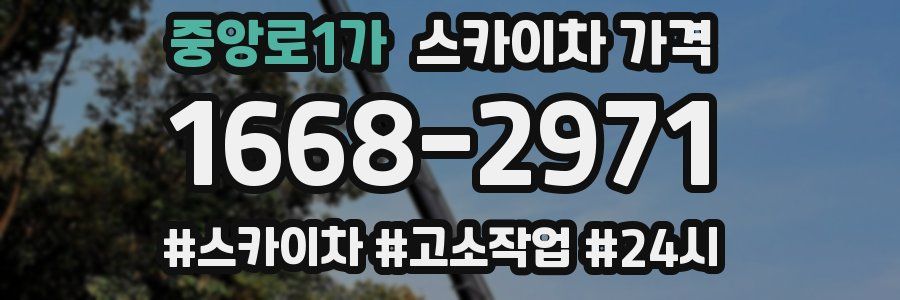 중앙로1가 스카이차 가격