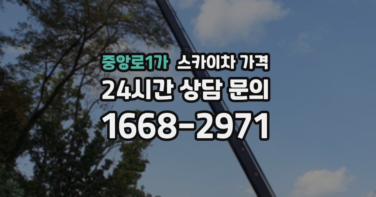 중앙로1가 스카이차 가격