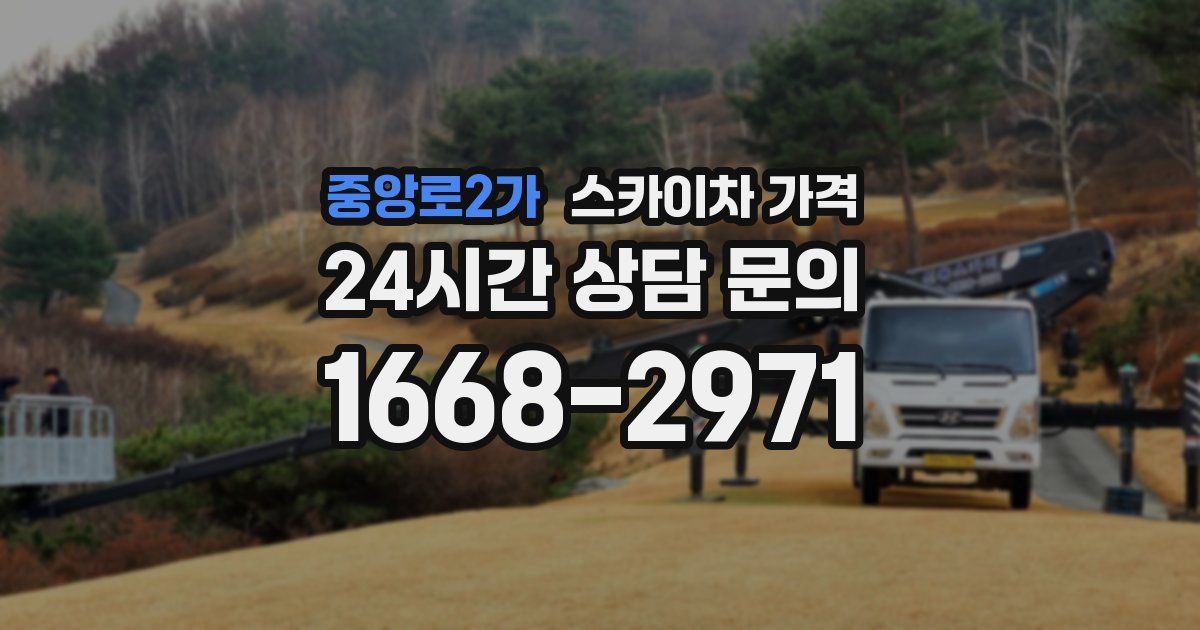 중앙로2가 스카이차 가격