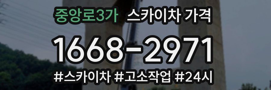 중앙로3가 스카이차 가격