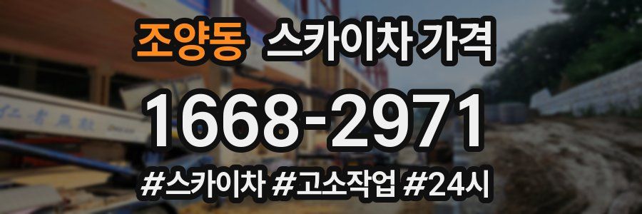 조양동 스카이차 가격