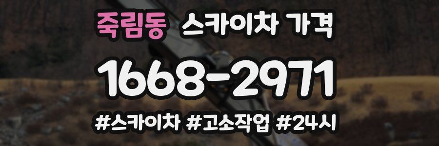 죽림동 스카이차 가격