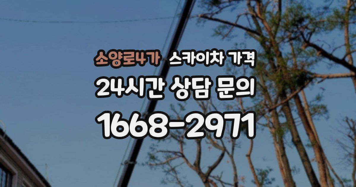 소양로4가 스카이차 가격