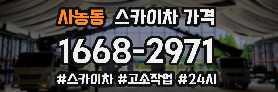 사농동 스카이차 가격