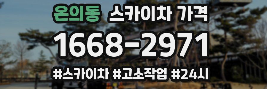 온의동 스카이차 가격