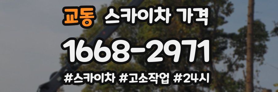 교동 스카이차 가격