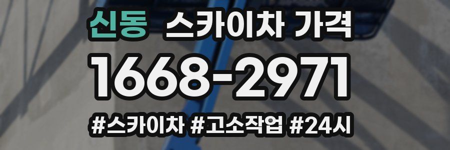 신동 스카이차 가격