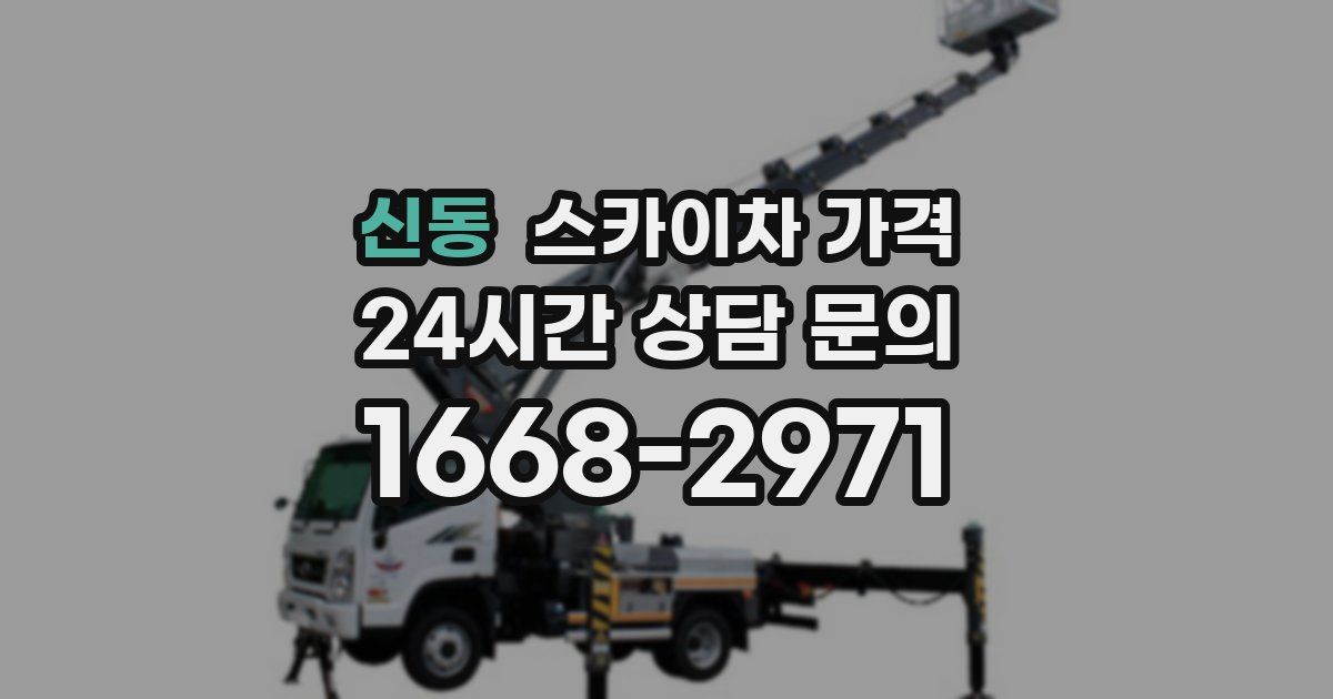 신동 스카이차 가격