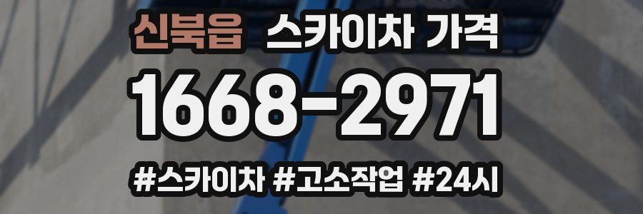 신북읍 스카이차 가격