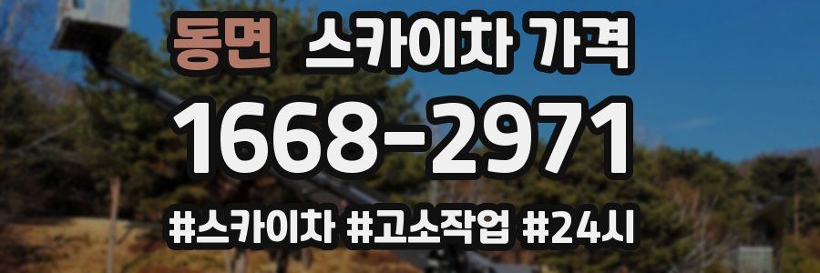 동면 스카이차 가격