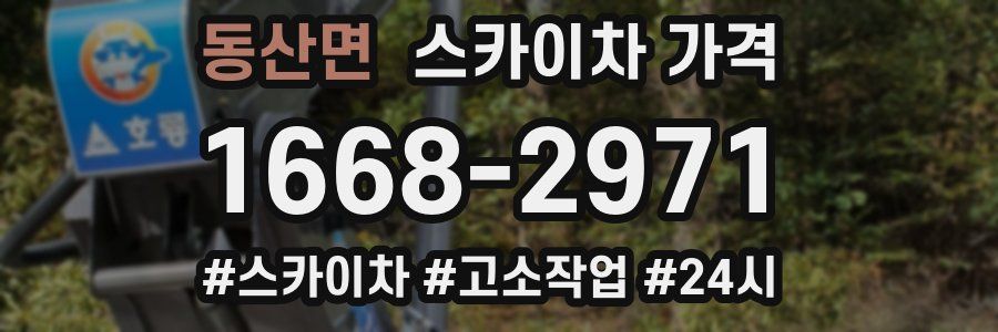 동산면 스카이차 가격