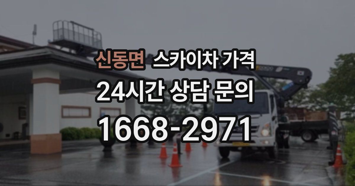 신동면 스카이차 가격