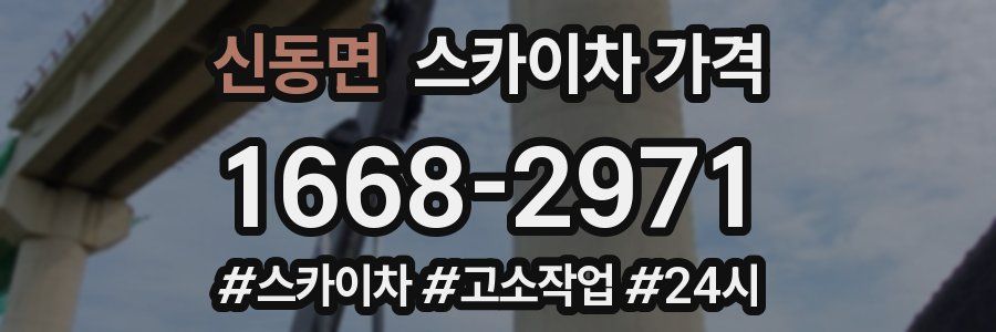 신동면 스카이차 가격