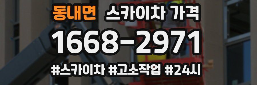 동내면 스카이차 가격