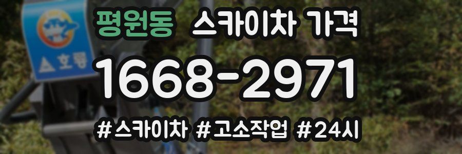 평원동 스카이차 가격