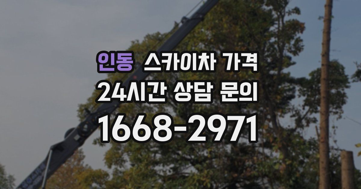 인동 스카이차 가격
