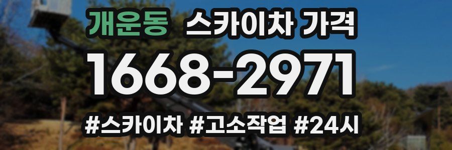 개운동 스카이차 가격