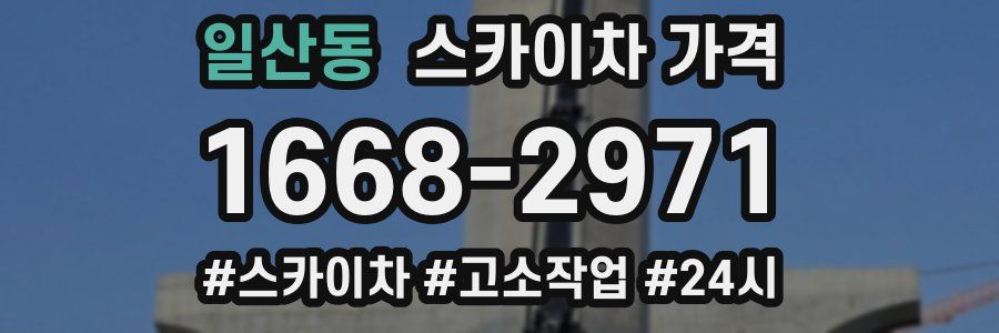 일산동 스카이차 가격