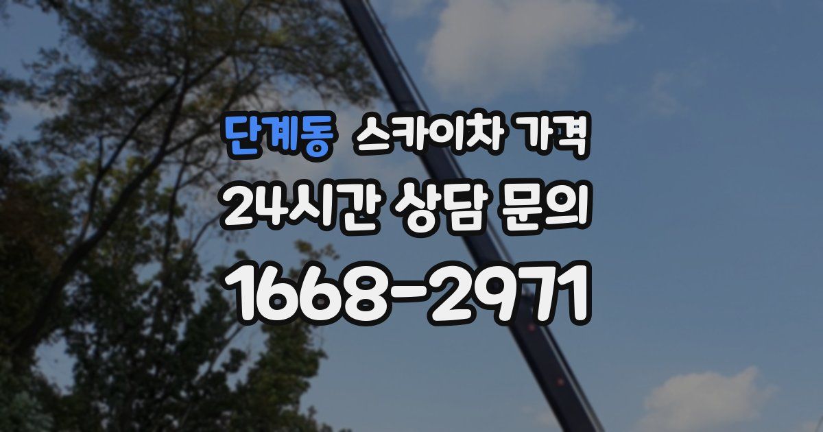 단계동 스카이차 가격